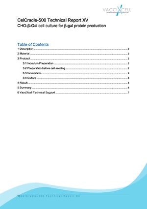 CHO-β-Gal cell culture for β-gal protein production